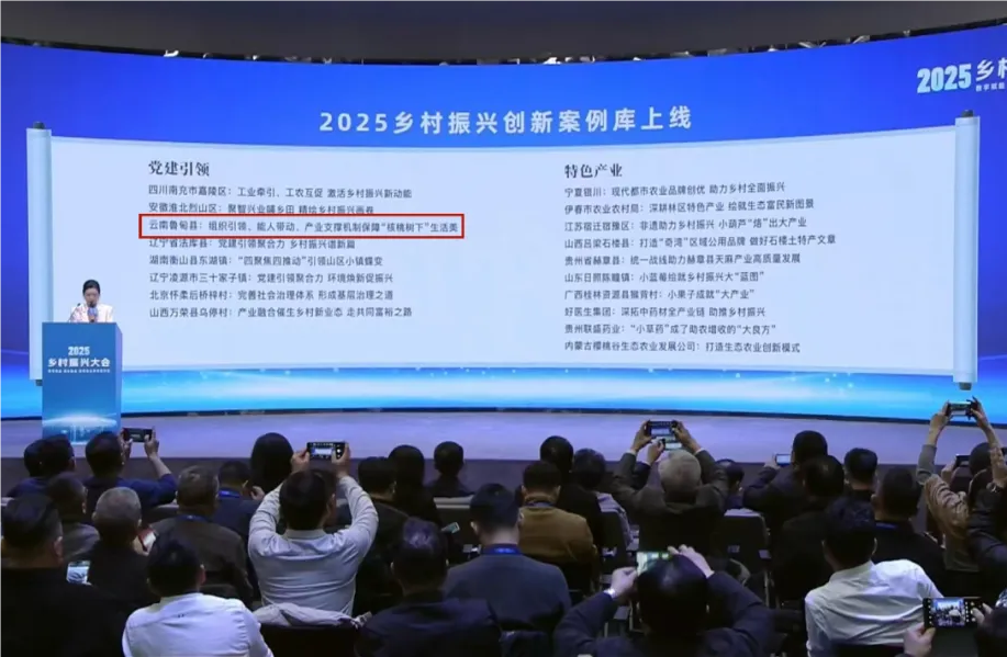 保利k8凯发案例入选人民网“2025村落振兴创新案例库”